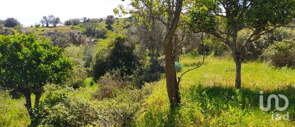 Terreno para construção em Mexilhoeira Grande de 195 520 m²