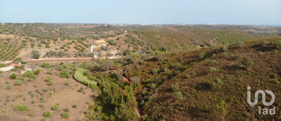 Terreno para construção em Mexilhoeira Grande de 195 520 m²