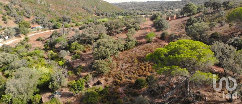 Terreno para construção em Mexilhoeira Grande de 195 520 m²