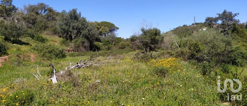 Building land in Mexilhoeira Grande of 195,520 m²