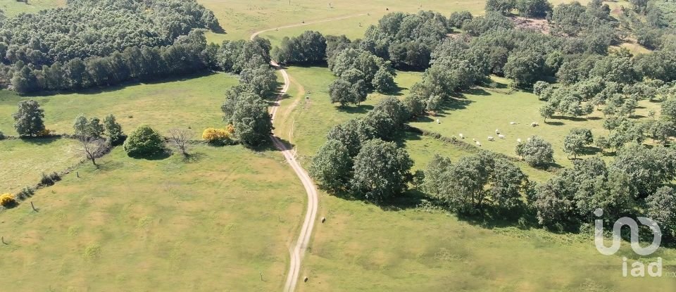 Ferme T0 à Vale de Espinho de 1 200 m²