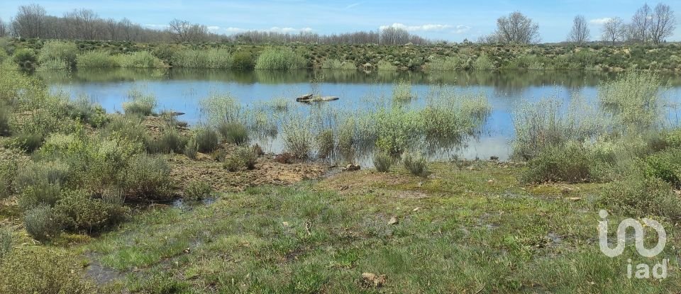 Quinta T0 em Vale de Espinho de 1 200 m²