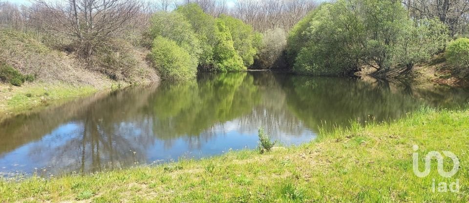 Quinta T0 em Vale de Espinho de 1 200 m²