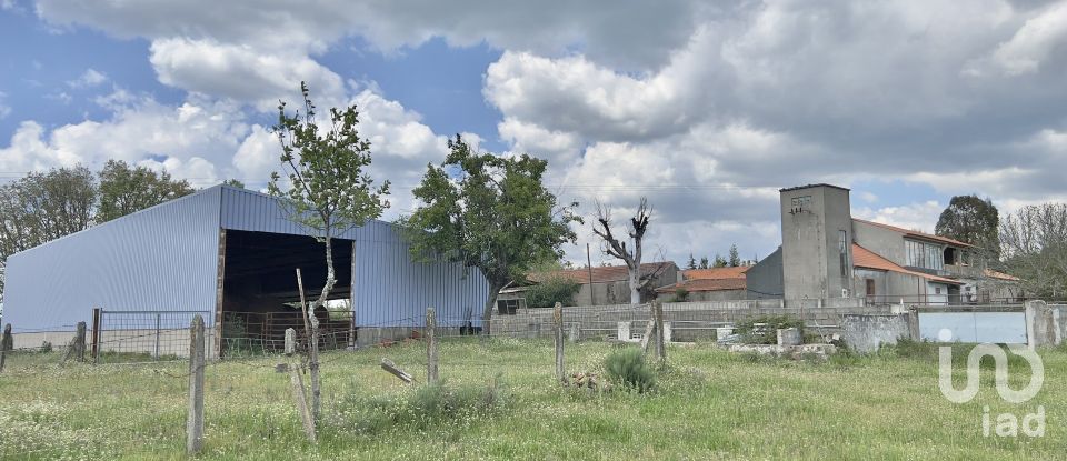 Quinta T0 em Vale de Espinho de 1 200 m²