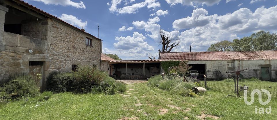 Quinta T0 em Vale de Espinho de 1 200 m²