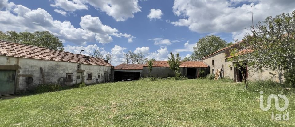 Quinta T0 em Vale de Espinho de 1 200 m²