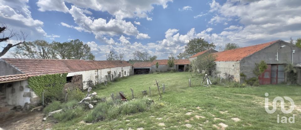 Farm T0 in Vale de Espinho of 1,200 m²