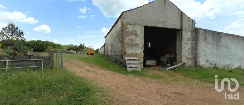 Quinta T0 em Vale de Espinho de 1 200 m²