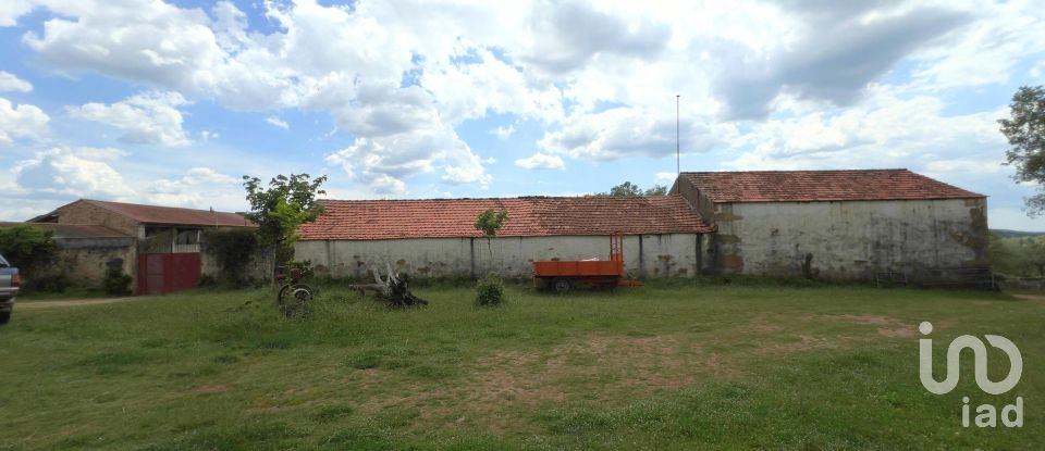 Farm T0 in Vale de Espinho of 1,200 m²