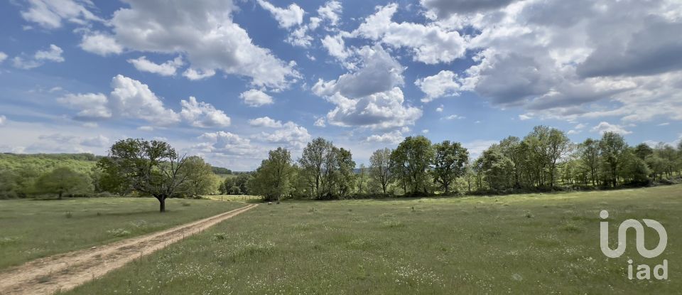 Ferme T0 à Vale de Espinho de 1 200 m²