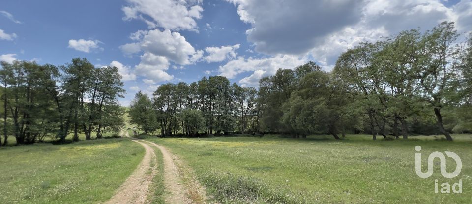 Farm T0 in Vale de Espinho of 1,200 m²