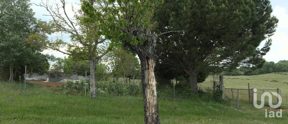 Quinta T0 em Vale de Espinho de 1 200 m²