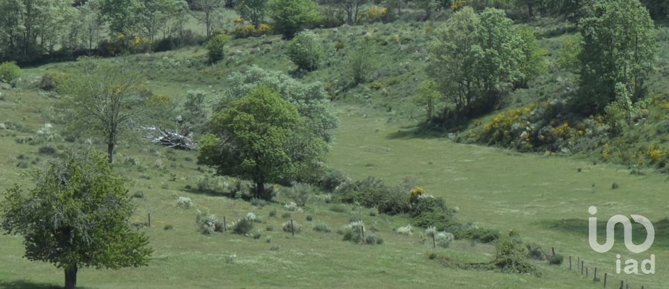 Farm T0 in Vale de Espinho of 1,200 m²