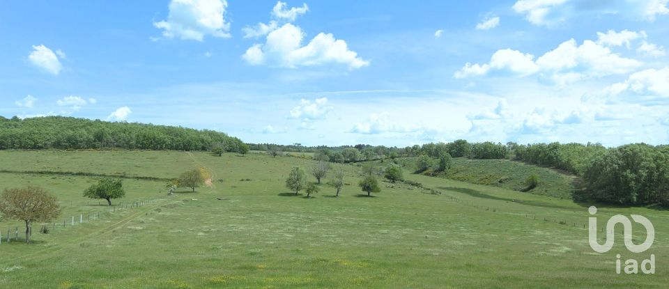 Quinta T0 em Vale de Espinho de 1 200 m²