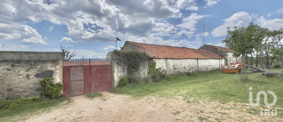 Ferme T0 à Vale de Espinho de 1 200 m²