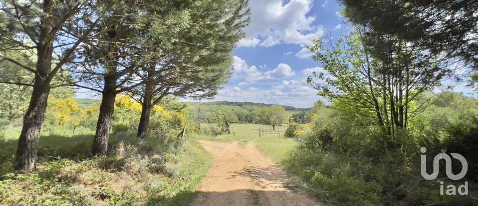 Ferme T0 à Vale de Espinho de 1 200 m²