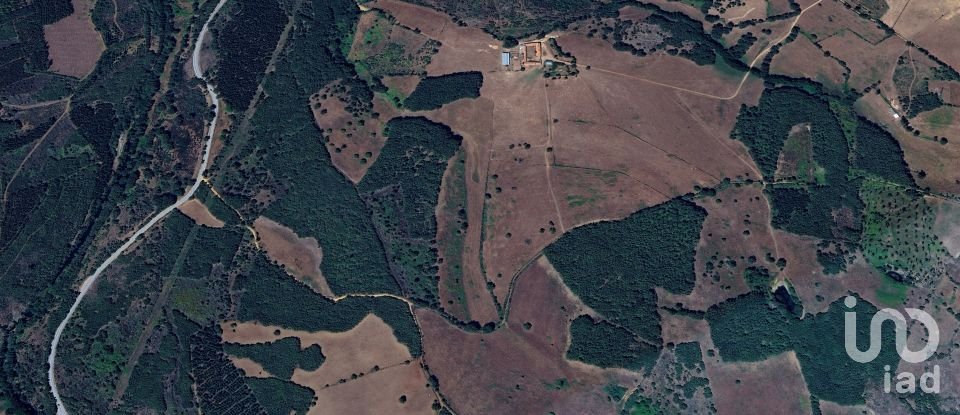 Ferme T0 à Vale de Espinho de 1 200 m²