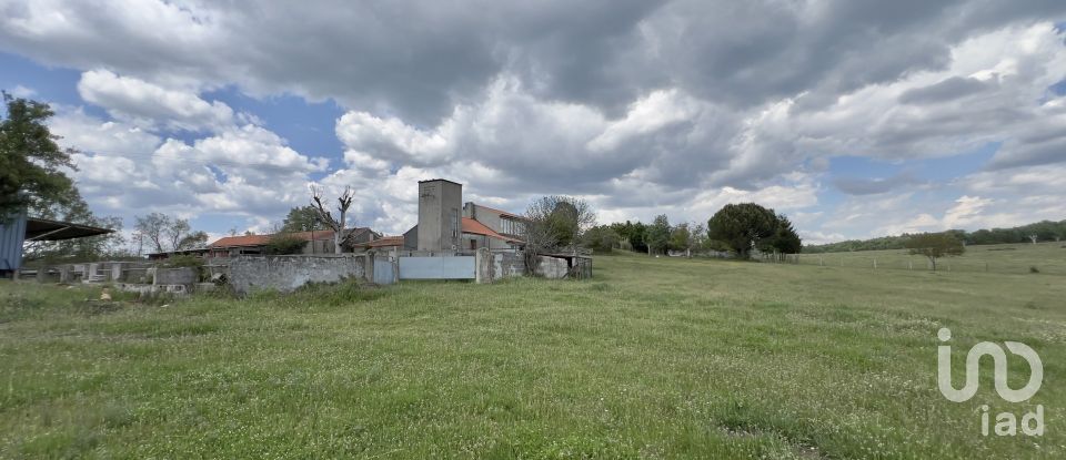 Quinta T0 em Vale de Espinho de 1 200 m²