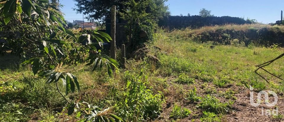 Land in Serrazes of 1,000 m²