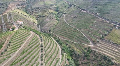 Domaine T0 à Ervedosa do Douro de 99 998 m²