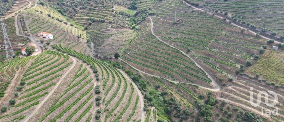 Domaine T0 à Ervedosa do Douro de 99 998 m²