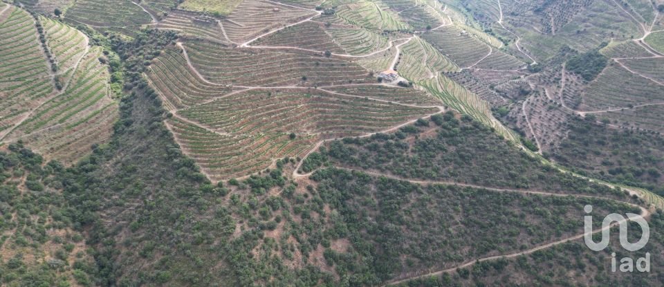 Domaine T0 à Ervedosa do Douro de 99 998 m²