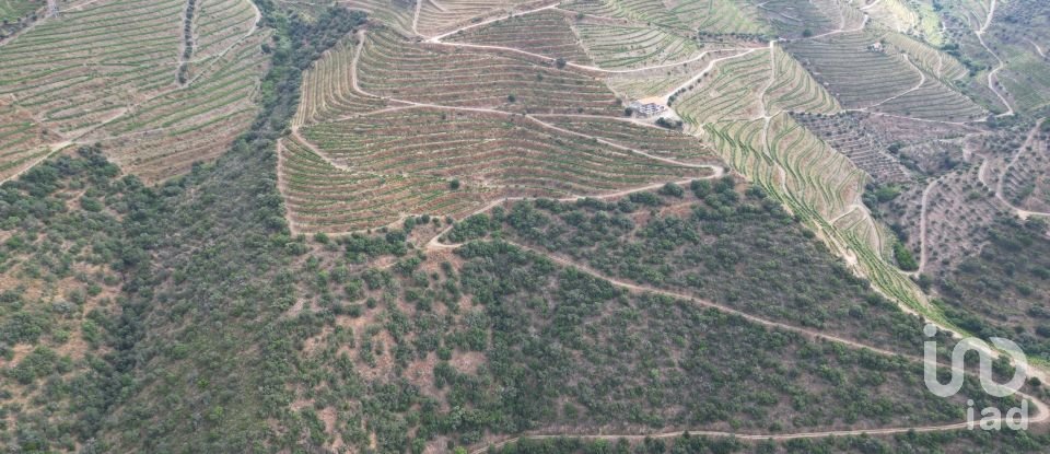 Domaine T0 à Ervedosa do Douro de 99 998 m²