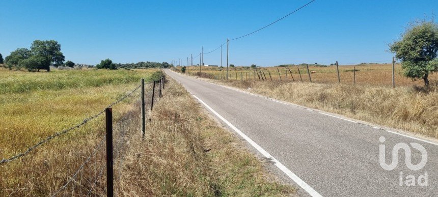 Terrain agricole à Alagoa de 220 000 m²