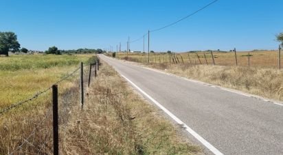Agricultural land in Alagoa of 220,000 m²