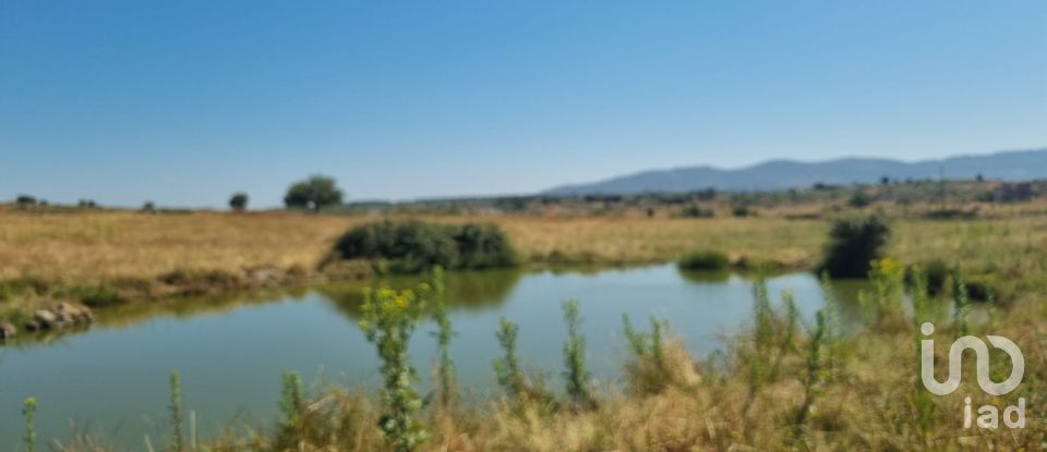 Terreno Agrícola em Alagoa de 220 000 m²