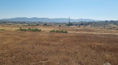 Agricultural land in Alagoa of 220,000 m²