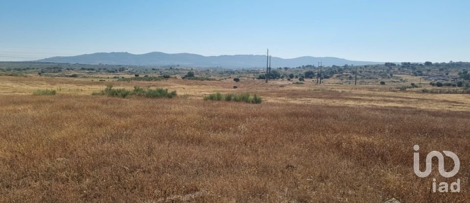 Terrain agricole à Alagoa de 220 000 m²