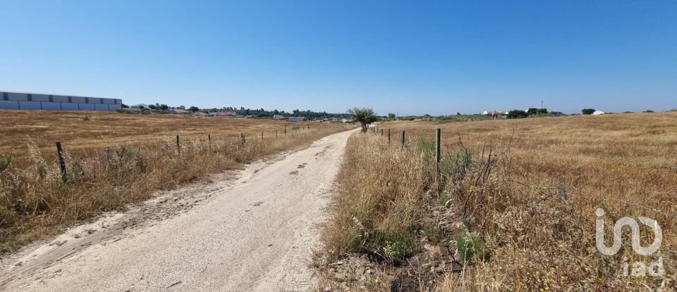 Agricultural land in Alagoa of 220,000 m²