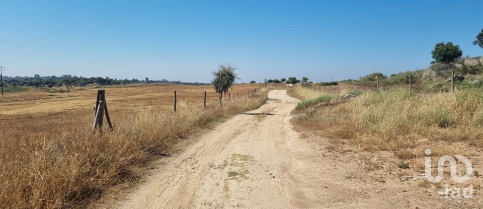 Agricultural land in Alagoa of 220,000 m²