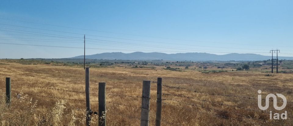 Terrain agricole à Alagoa de 220 000 m²