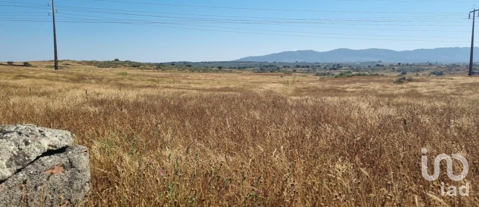 Terrain agricole à Alagoa de 220 000 m²