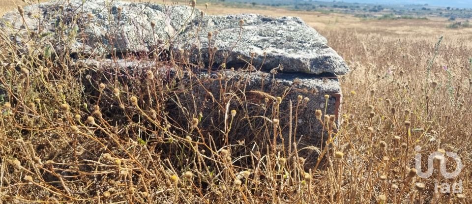 Terreno Agrícola em Alagoa de 220 000 m²