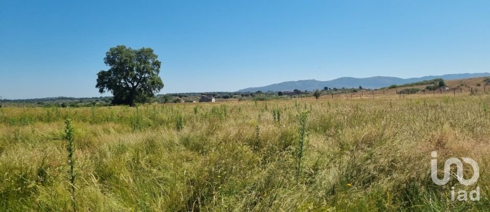 Terreno Agrícola em Alagoa de 220 000 m²