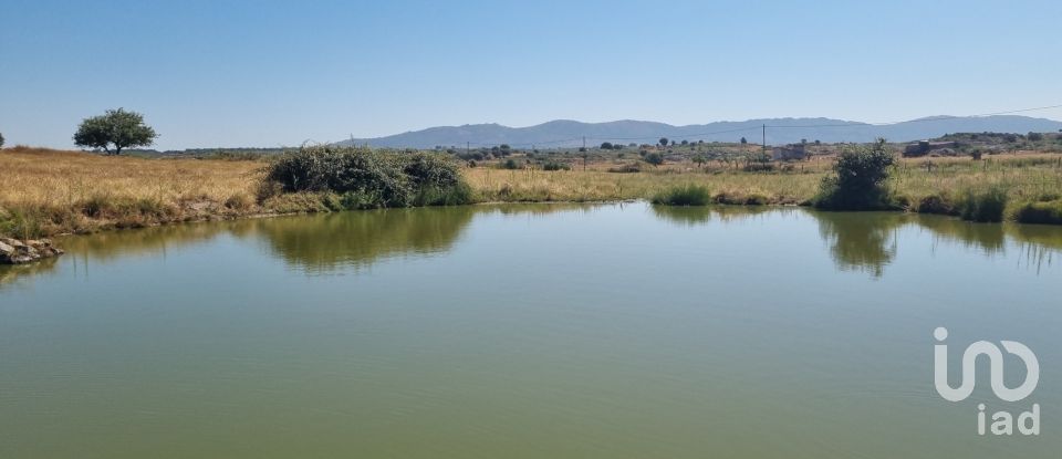 Terrain agricole à Alagoa de 220 000 m²