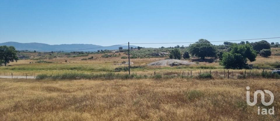 Terreno Agrícola em Alagoa de 220 000 m²