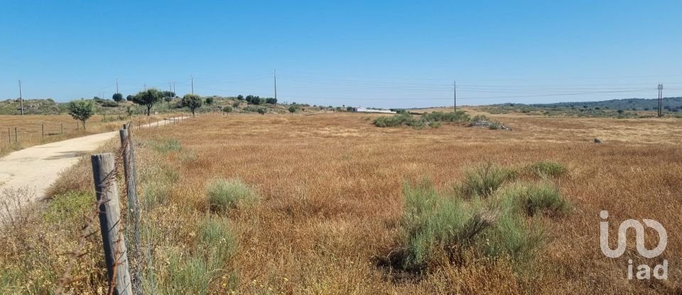 Terreno Agrícola em Alagoa de 220 000 m²