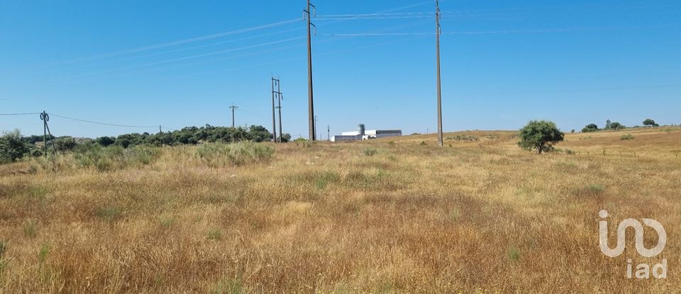 Terreno Agrícola em Alagoa de 220 000 m²