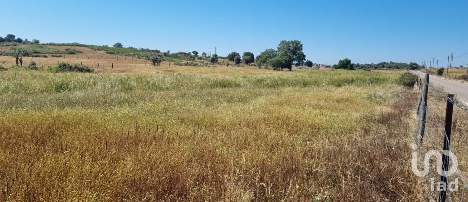 Terreno Agrícola em Alagoa de 220 000 m²