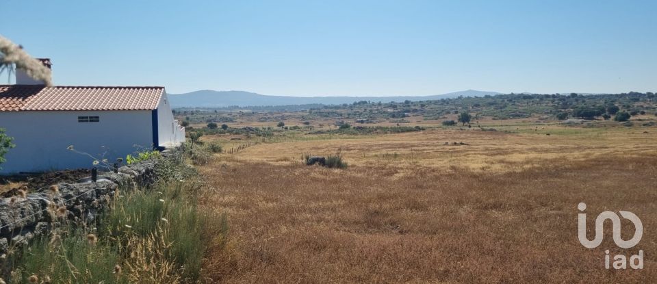 Terrain agricole à Alagoa de 220 000 m²