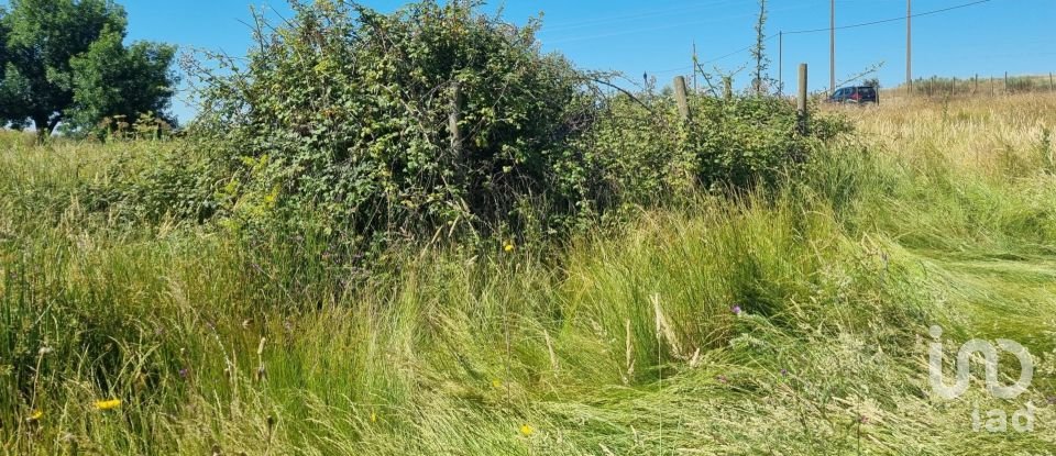 Terreno Agrícola em Alagoa de 220 000 m²