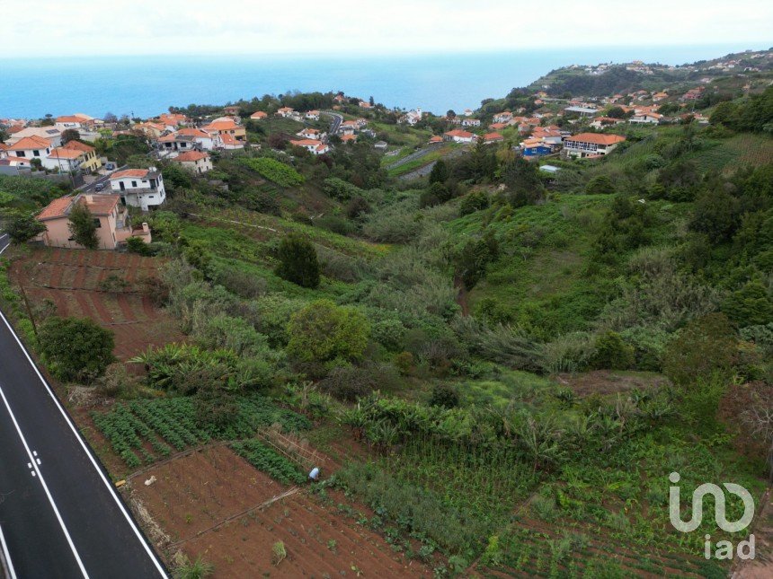 Terrain à Arco de São Jorge de 6 820 m²