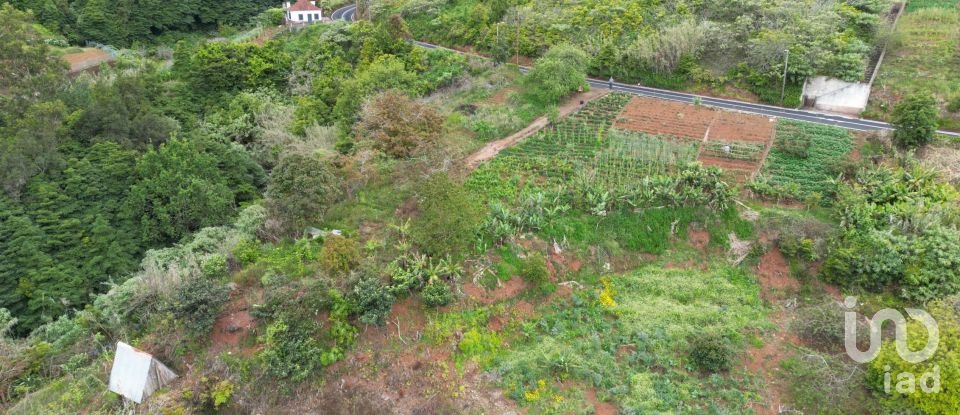 Terreno em Arco de São Jorge de 6 820 m²