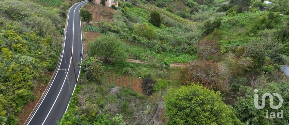 Terrain à Arco de São Jorge de 6 820 m²