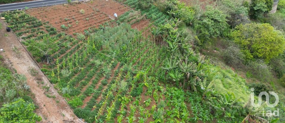 Terreno em Arco de São Jorge de 6 820 m²