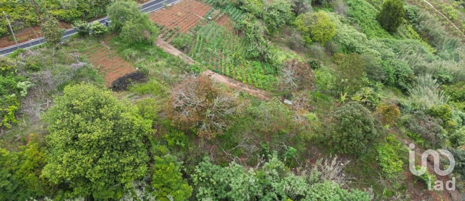 Terreno em Arco de São Jorge de 6 820 m²